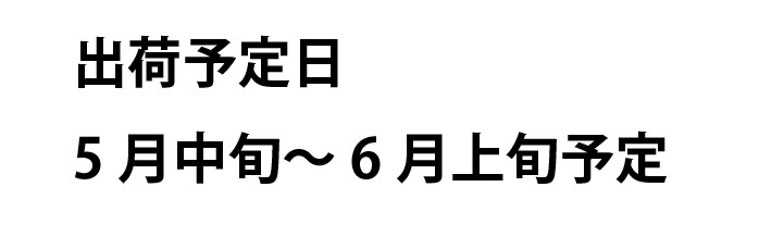 宮崎県産ゴールドラッシュ