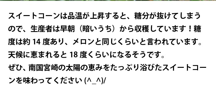 宮崎県産ゴールドラッシュ