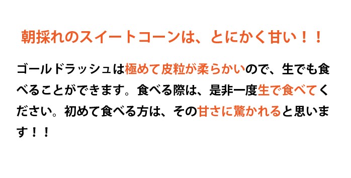 宮崎県産ゴールドラッシュ