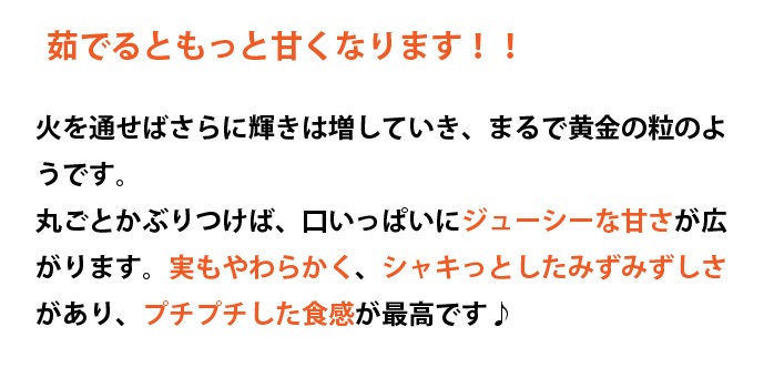 宮崎県産ゴールドラッシュ