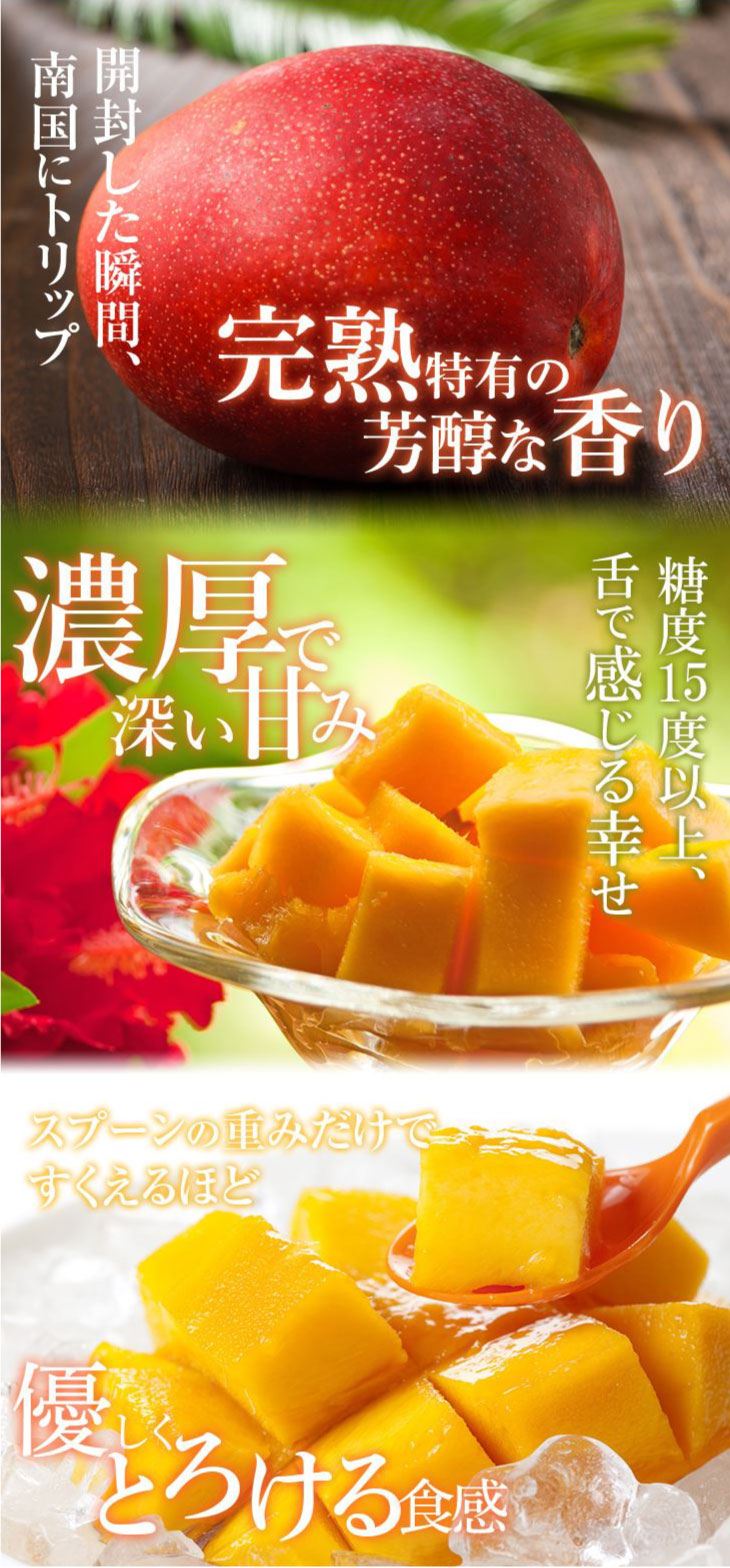 9月中旬頃より順次発送】2026 送料無料 宮崎完熟マンゴー 訳あり