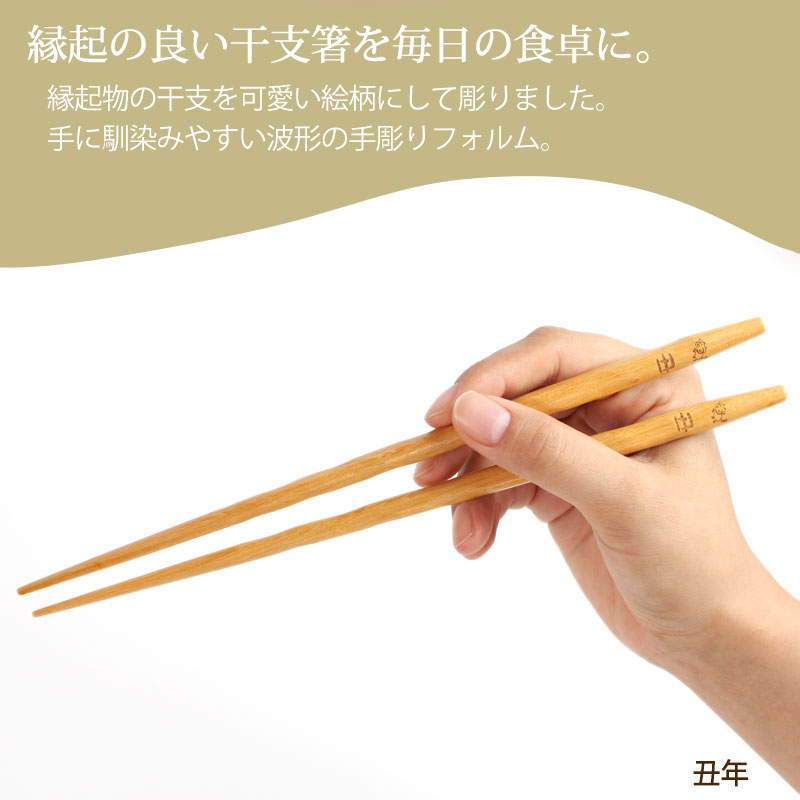 干支箸 5膳 セット 干支 十二支 巳年 2025年 お箸 おはし へび