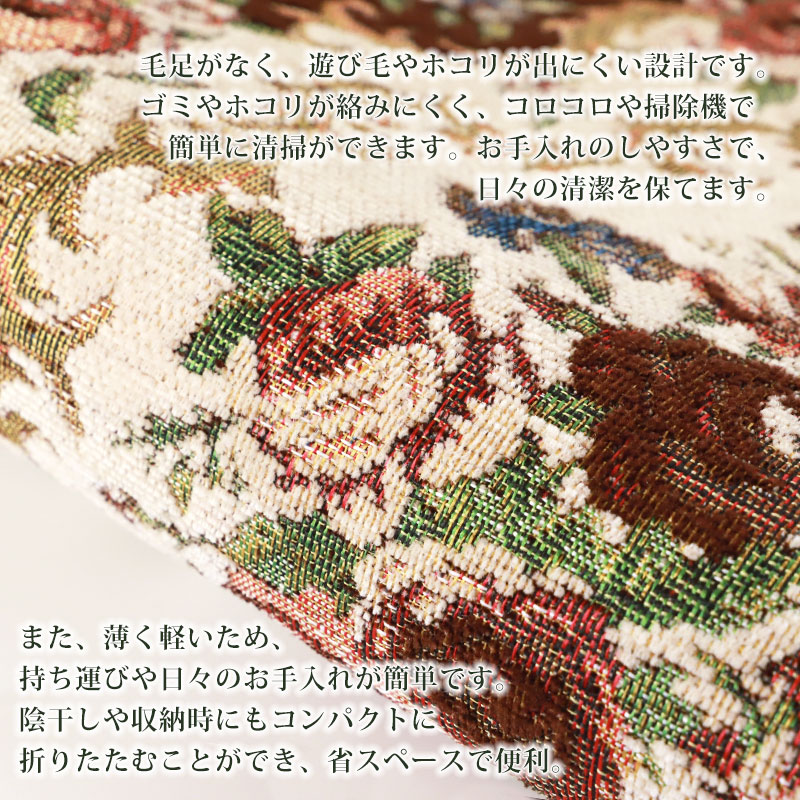 10%OFF】 洗える玄関マット ゴブラン織 シェニールマット 60×90cm 風水