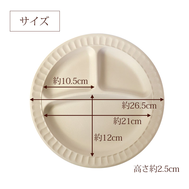 みよし漆器本舗 プレート 抗菌 仕切りプレート お皿 ランチプレート