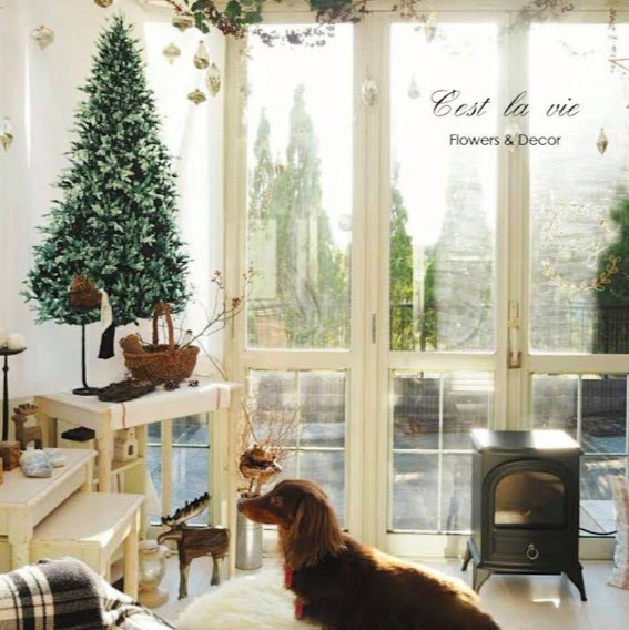 タペストリー クリスマスタペストリー 大判 ツリー 壁掛け 布 インテリア 飾り付け おしゃれ 海外雑貨 壁飾り ウォールデコレーション |  | 05