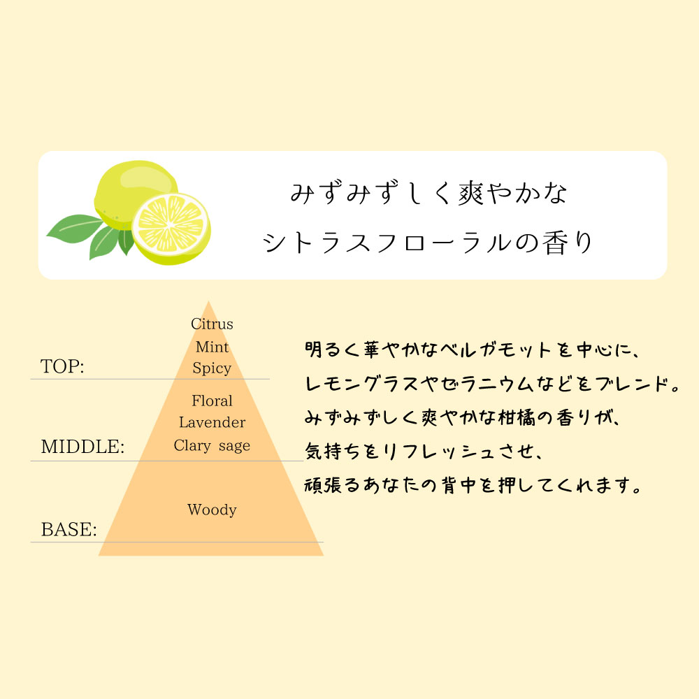 水生活製作所 おぷろ ボディソープ II 肌にやさしい 無添加 乾燥肌