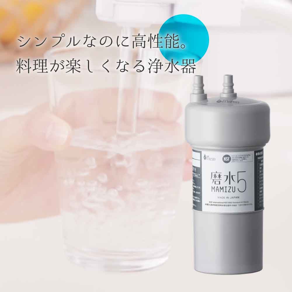 磨水5 PFAS 除去 ビルトイン 交換用 浄水器 フィルター カートリッジ