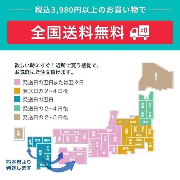 精製水 10l cpap 用 呼吸器用 10L × 1箱 コックなし サンエイ化学 純水 医療用 化粧 睡眠時 無呼吸症候群 吸入器 大容量 | サンエイ化学 | 12
