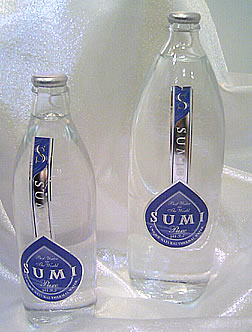 水 温泉水 500ml アルカリ性の超軟水 飲む温泉 観音温泉