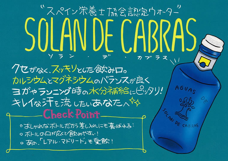 値下げ】 飲料 ２ケースまで同梱可 ソラン デ カブラス ナチュラルミネラルウォーター ５００ｍｌ １ケース２０本入り 500PET SOLAN  スリーボンド貿易株式会社 www.w-m.be