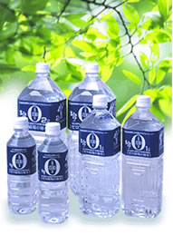 水 天然水 500ml ゼロ磁場の秘水 500mlx24本入り 現地よりメーカー直送