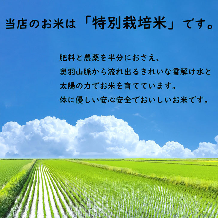 magnet_164519003300.jpg