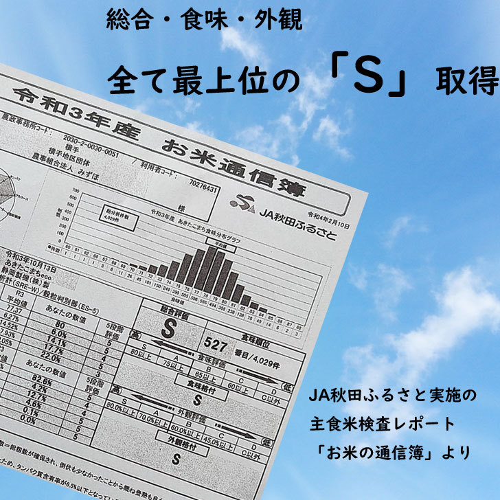 令和6年産】無洗米 あきたこまち 30kg 送料無料 秋田県産