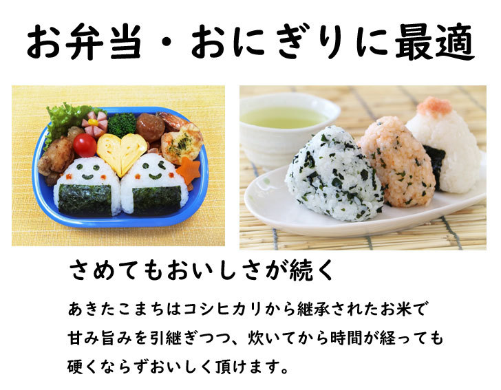農家直送☆令和６年産☆自然乾燥米 秋田県産あきたこまち白米１０kg(５kg×２) あきたこまち 米 お米 米10kg （5kg×2袋） 秋田県産 白米 精米