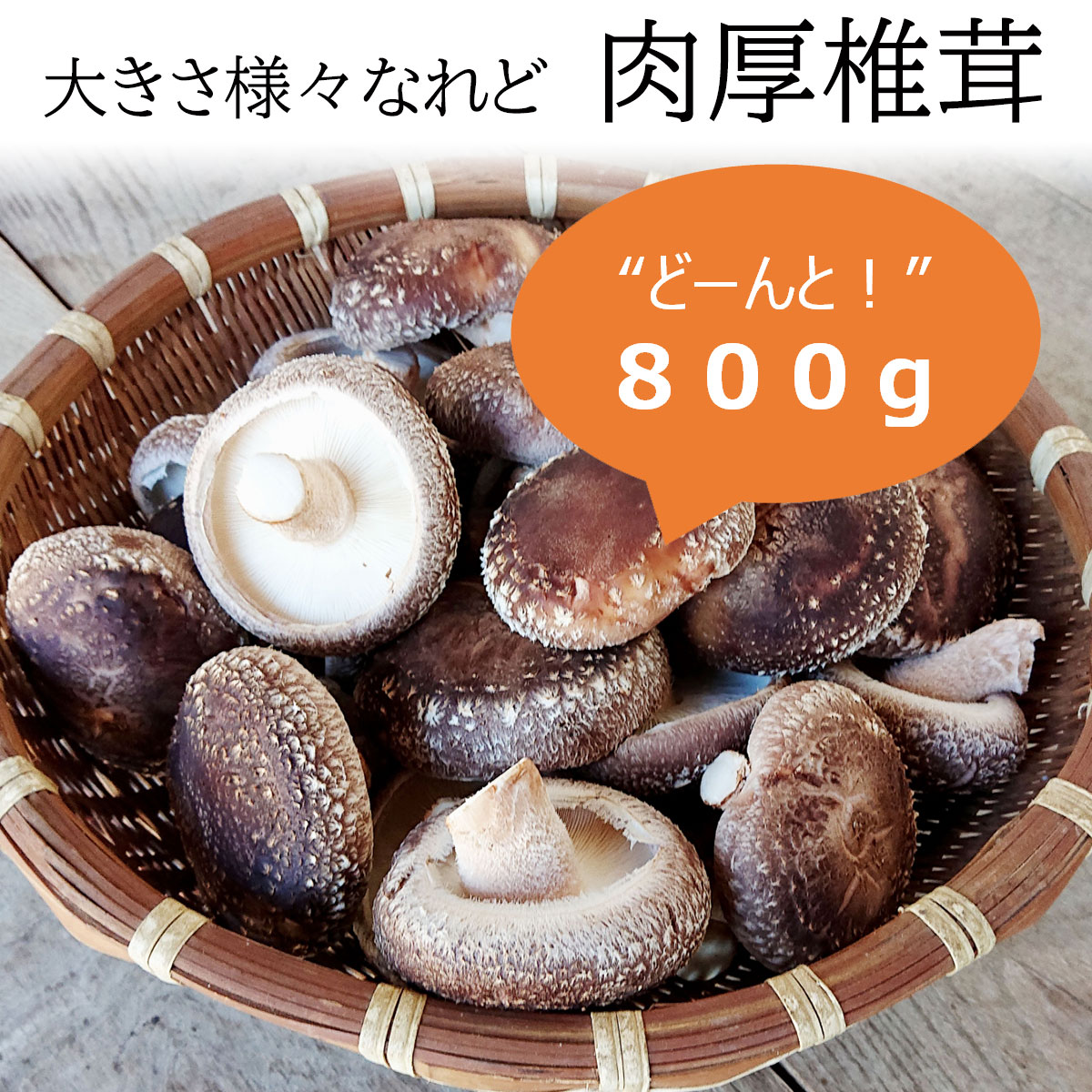 【生しいたけ】極上 しいたけ 800g 菌床 バラ 良品 椎茸 シイタケ 秋田県産 農家直送 産直 朝採り 新鮮 ジューシー 家庭用 業務用 産地直送  s800g