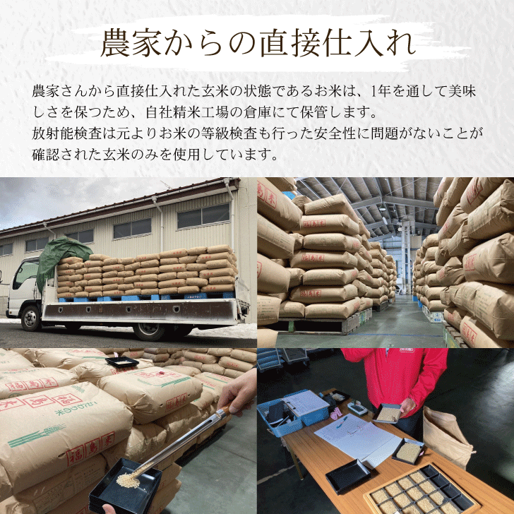 �V�N�Y �����Y�ЂƂ߂ڂ� 5kg ������ ���� �֘A�摜5