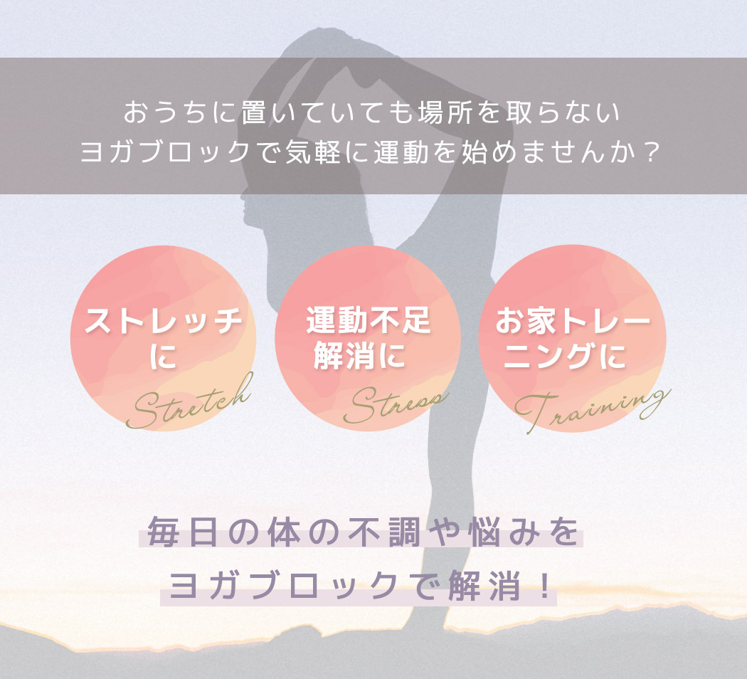 ヨガブロック 2個セット