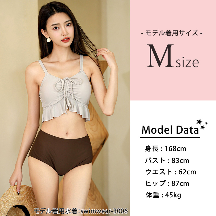 モデル情報
