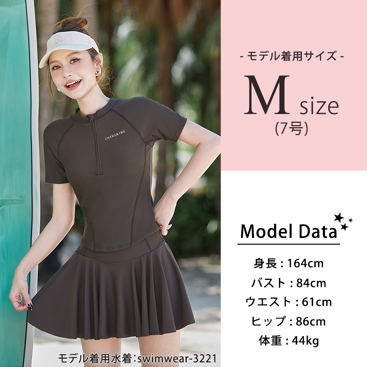モデル情報