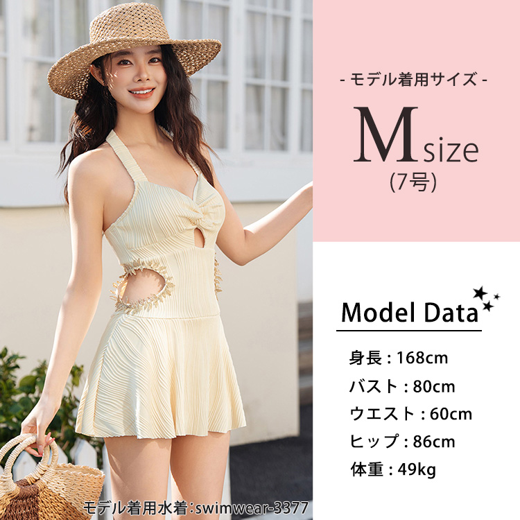 モデル情報