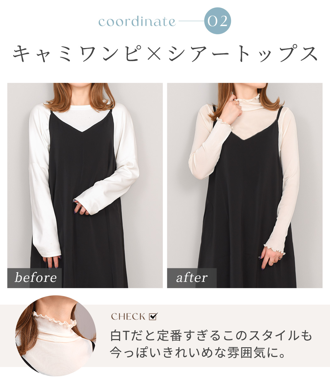 シアータートル