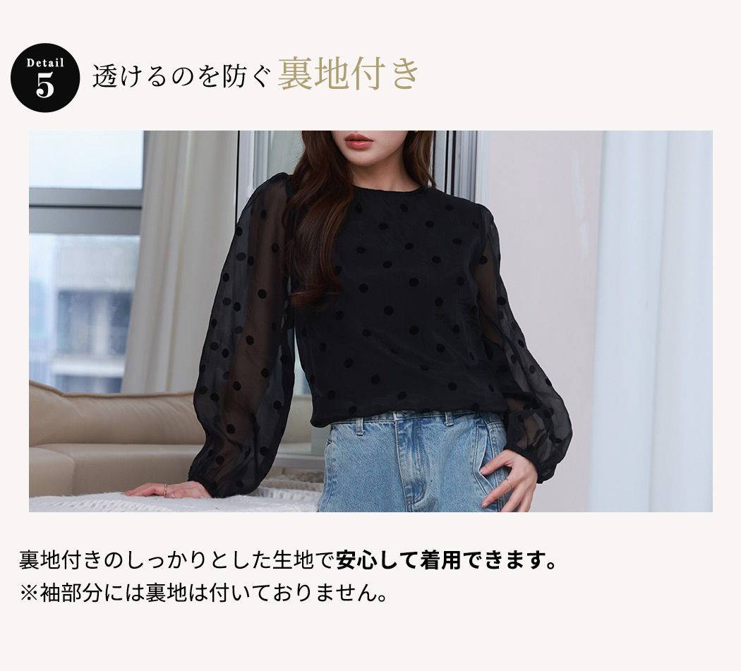 ブラウス 長袖 レディース シアー シースルー トップス フロッキー