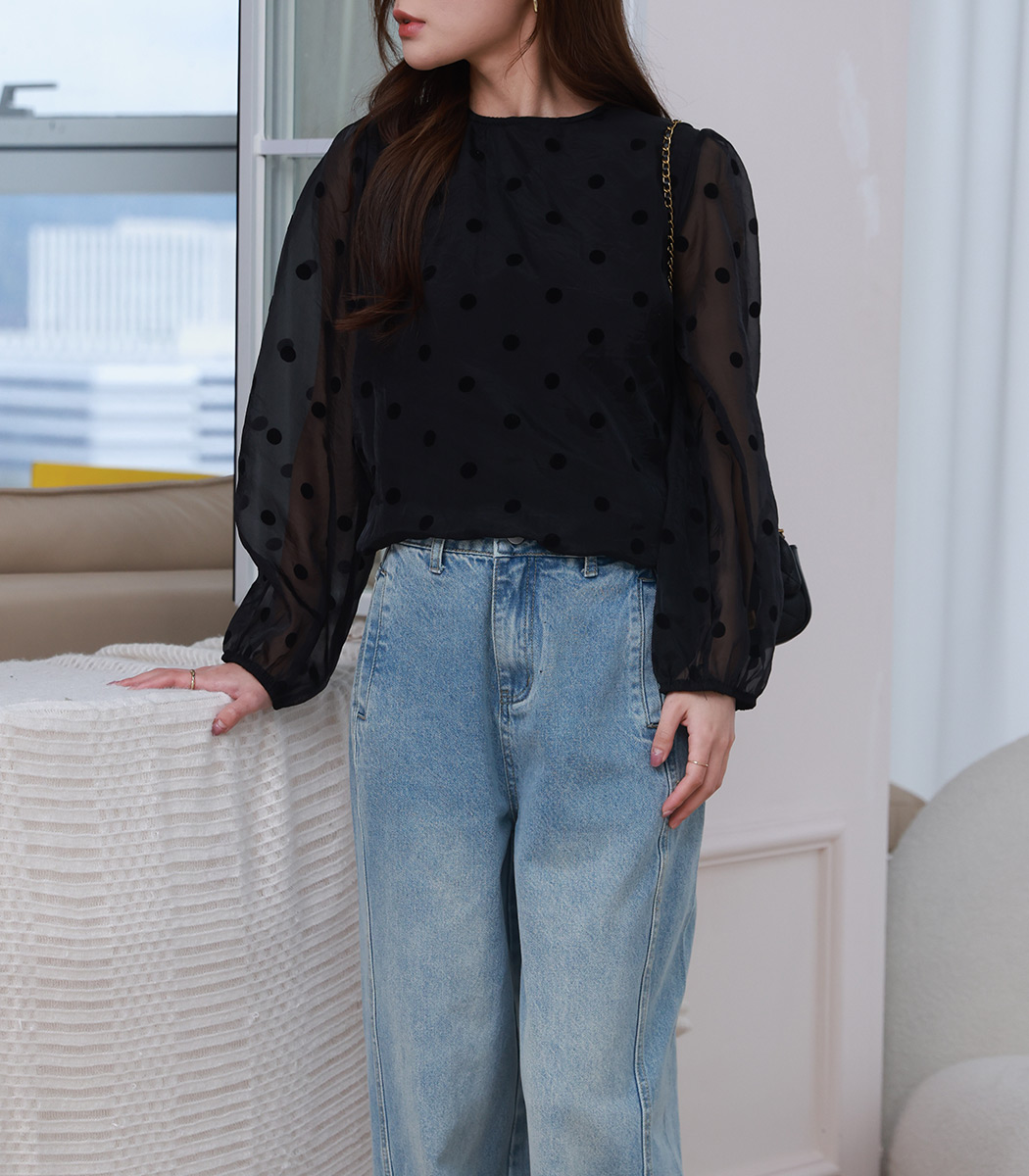ブラウス 長袖 レディース シアー シースルー トップス フロッキー