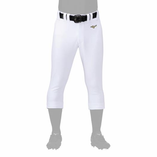 MIZUNO（ミズノ） 直営限定 野球 ユニフォームパンツ 公式 ミズノプロ