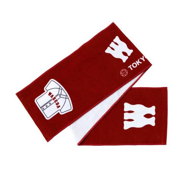 ミズノ公式 東京六大学野球 大学マフラータオル 早稲田 早稲田大学　アメフト　マフラータオルと折り畳み座布団