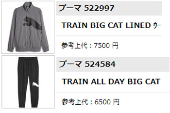PUMA（プーマ） 【Lサイズのみ】トレーニング ビッグ キャット