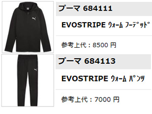 PUMA（プーマ） EVOSTRIPE ウォーム フーデッドジャケット パンツ 上下