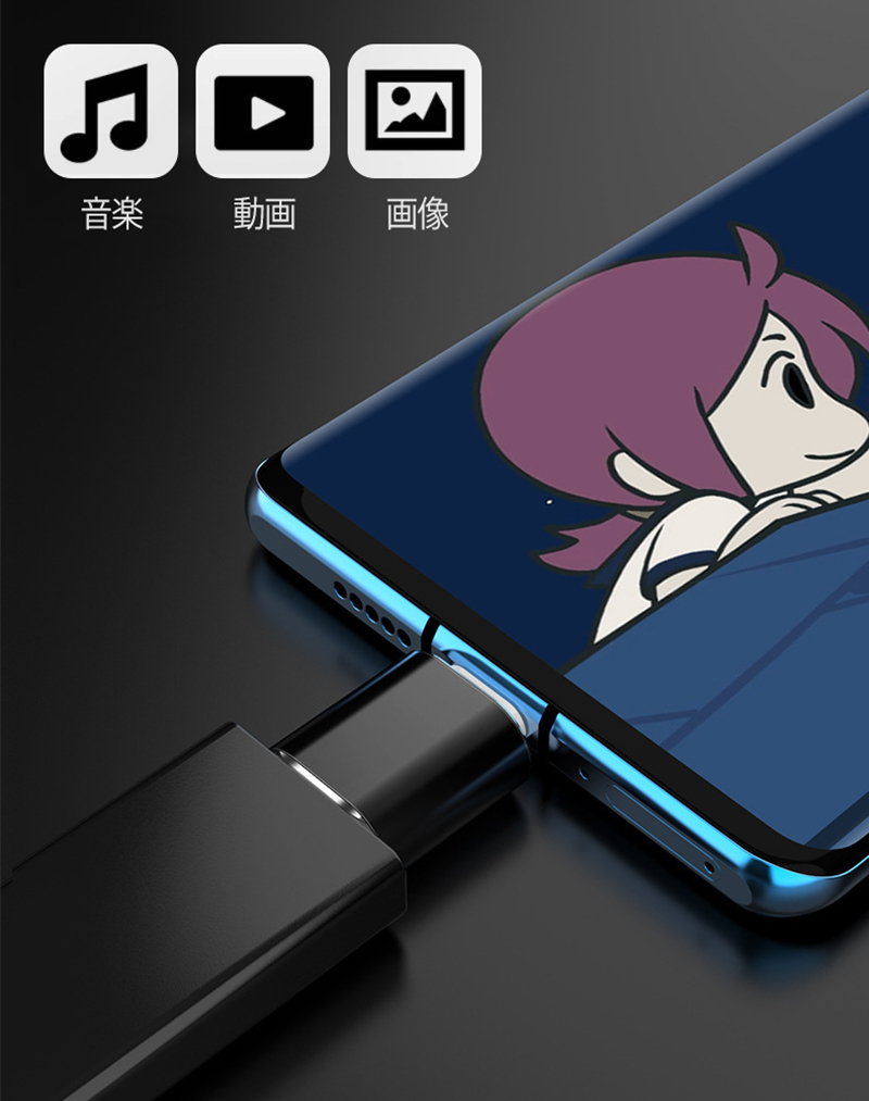 2個セット USB Type-C(オス) US...の詳細画像3