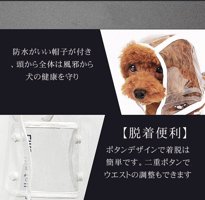 きゃんちょめ　柴犬8キロ ×3袋 きゃんちょめ様 専用 柴犬8キロ ×3袋