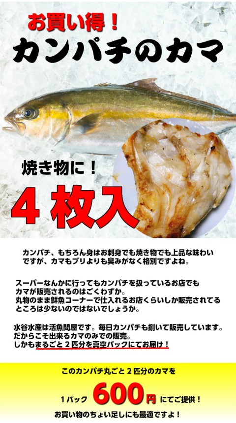 お買い得 カンパチのカマ カンパチ カマ 塩焼き 焼き物 ジューシー サービス品 ついで買いにどうぞ :1-24:水谷水産 Yahoo!店 - 通販  - Yahoo!ショッピング