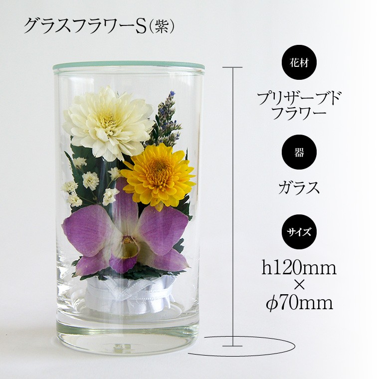 グラスサイズ高さ17cm