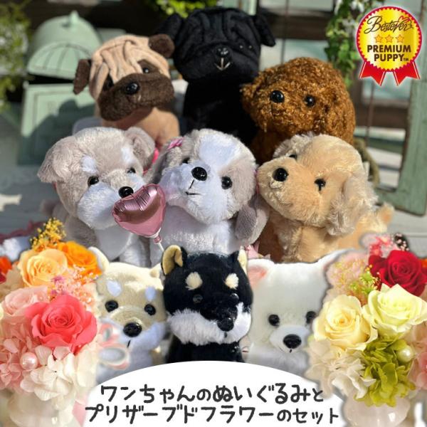 ワンちゃんのぬいぐるみとお花のセット