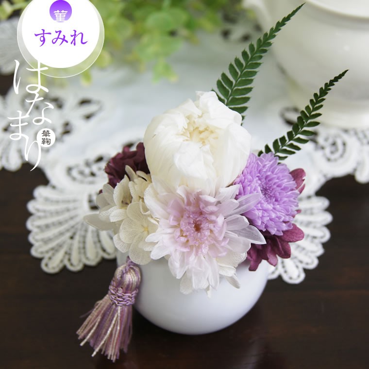 白菊 パープル 薄紫の小菊 すみれ