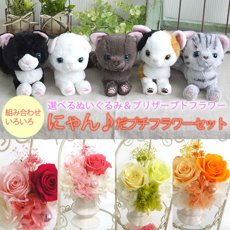 にゃんプチセット プリザーブドフラワー ねこ ぬいぐるみ ネコ にゃんプチセット プリザーブドフラワー ねこ ぬいぐるみ ネコ