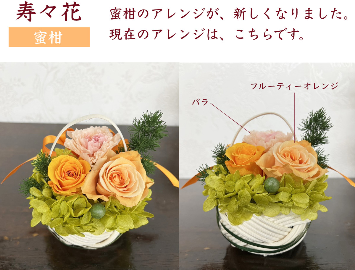 蜜柑