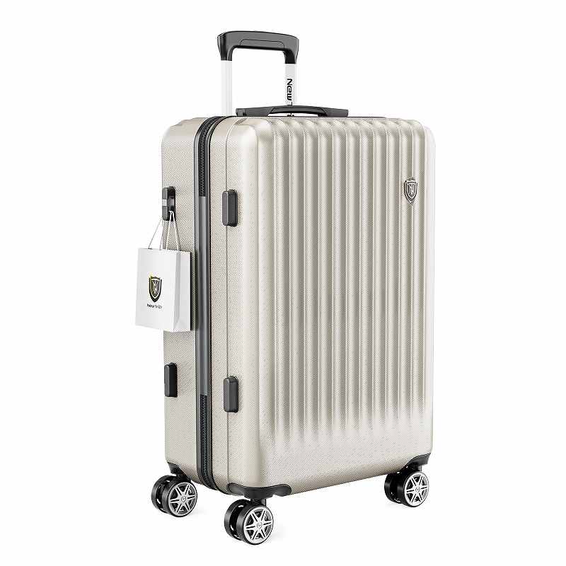 ブラザー HGESテープ 強粘着 黒文字/銀 ツヤ消シ /24mm ブラザー