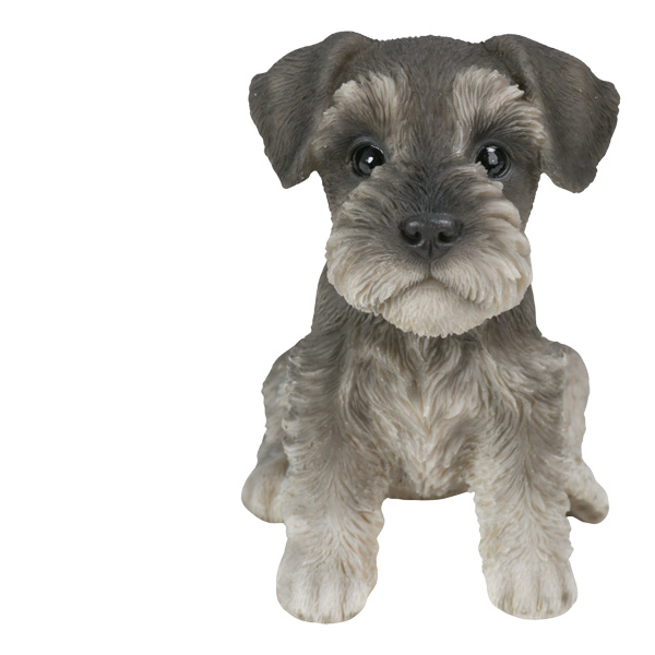 WOOBIA お座り シュナウザー (小) H16259 ウービア かわいい