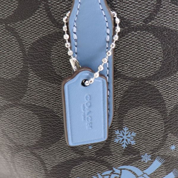 COACH（コーチ） トートバッグ レディース ブルー系 CM183 SVW6O