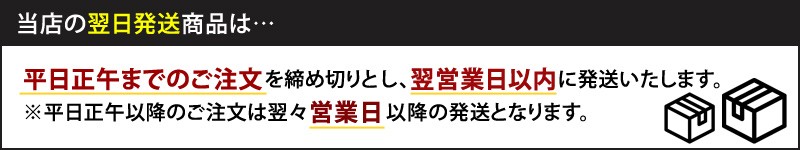 翌日発送