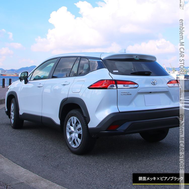 car-t-clcs-1704_6.jpg