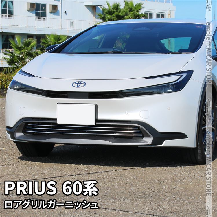 car-t-pr-2509.jpg