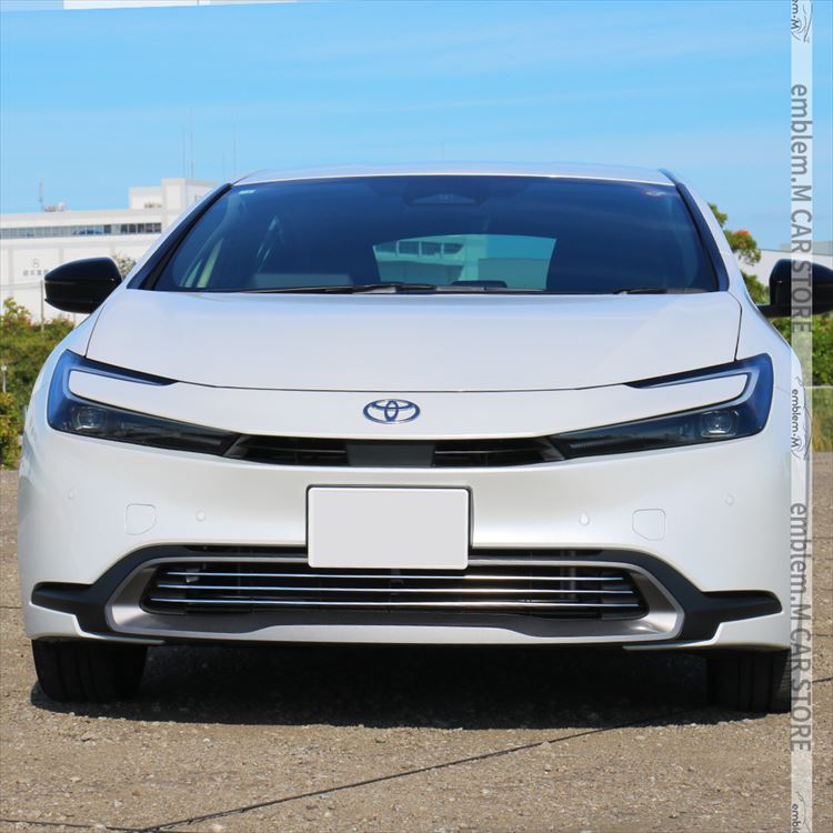 car-t-pr-2509_7.jpg