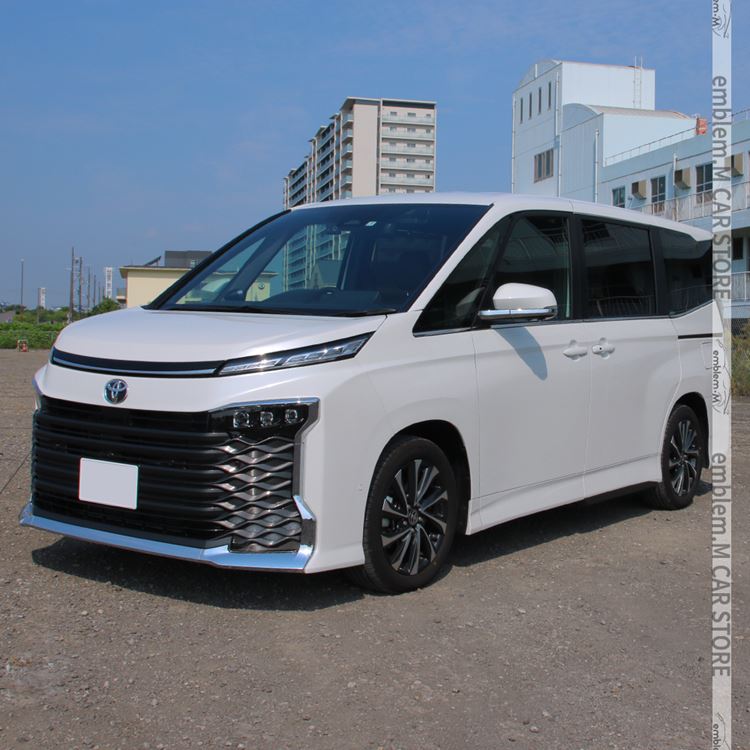 car-t-vn-2200_6.jpg
