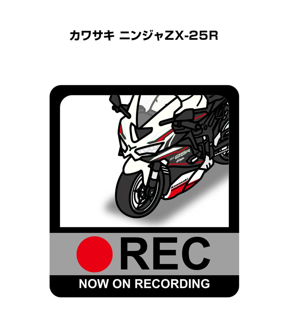 絵 MKJP イラストA5 フレーム付き バイク カワサキ ニンジャZX-25R ゆう