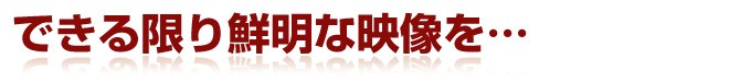 愛車精神!