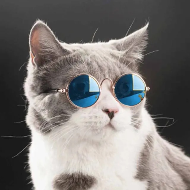 猫と犬用の反射メガネ,小さなペット用のアクセサリー,1ピース｜mkshopsjapan｜11